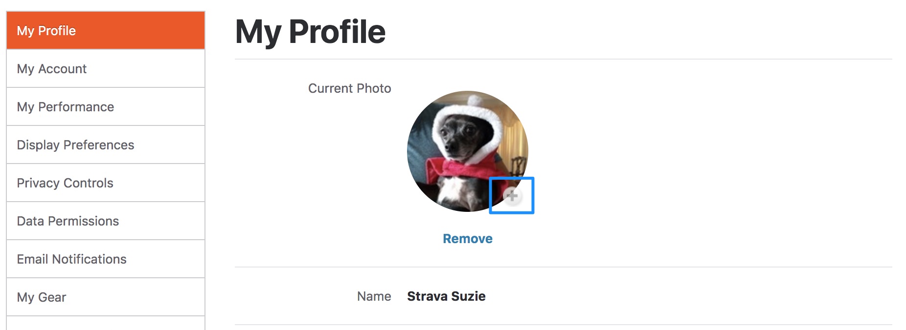 Strava___My_Profile.jpg